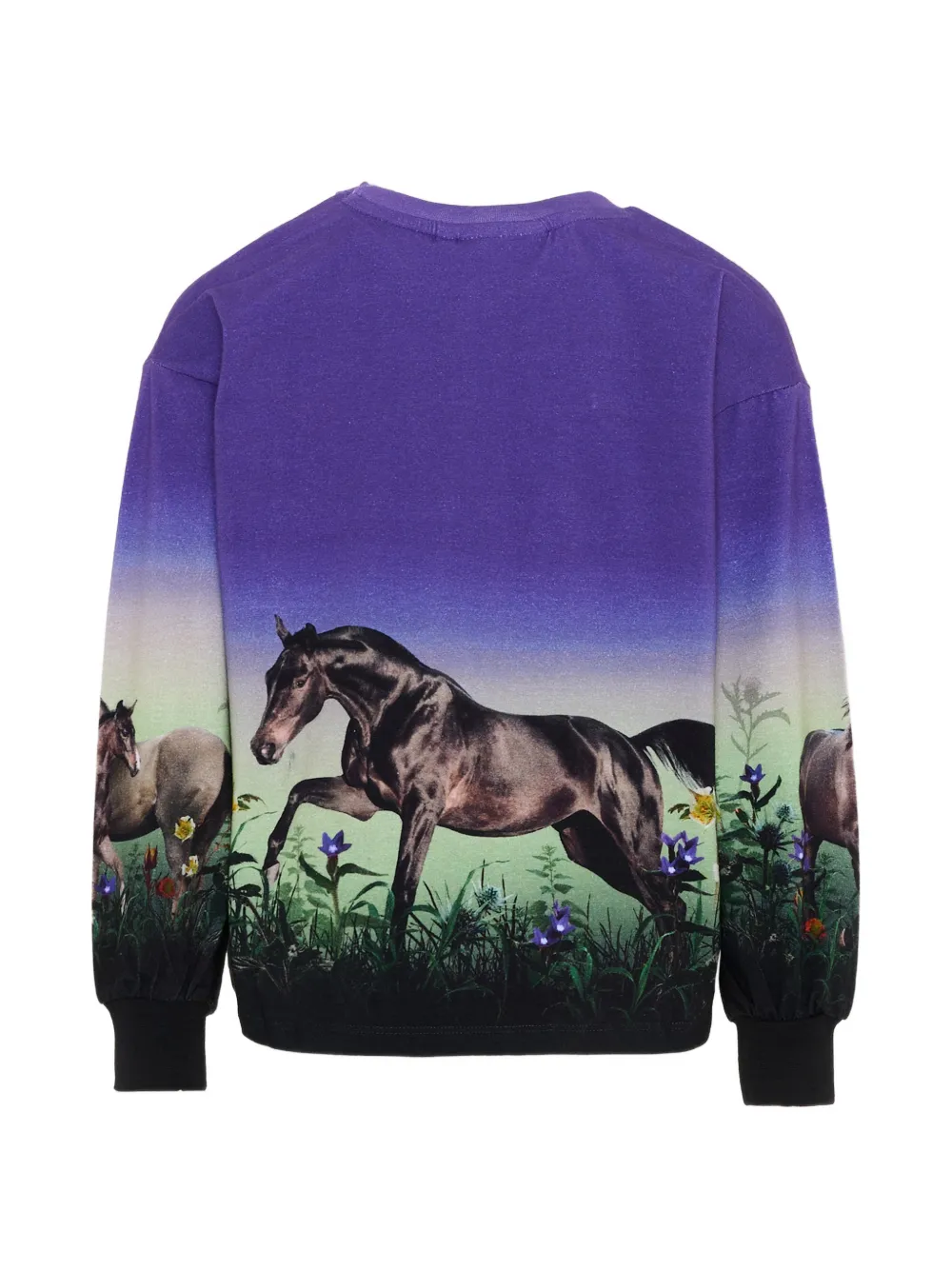 Molo Reniza T-shirt met paarden-print en lange mouwen Paars