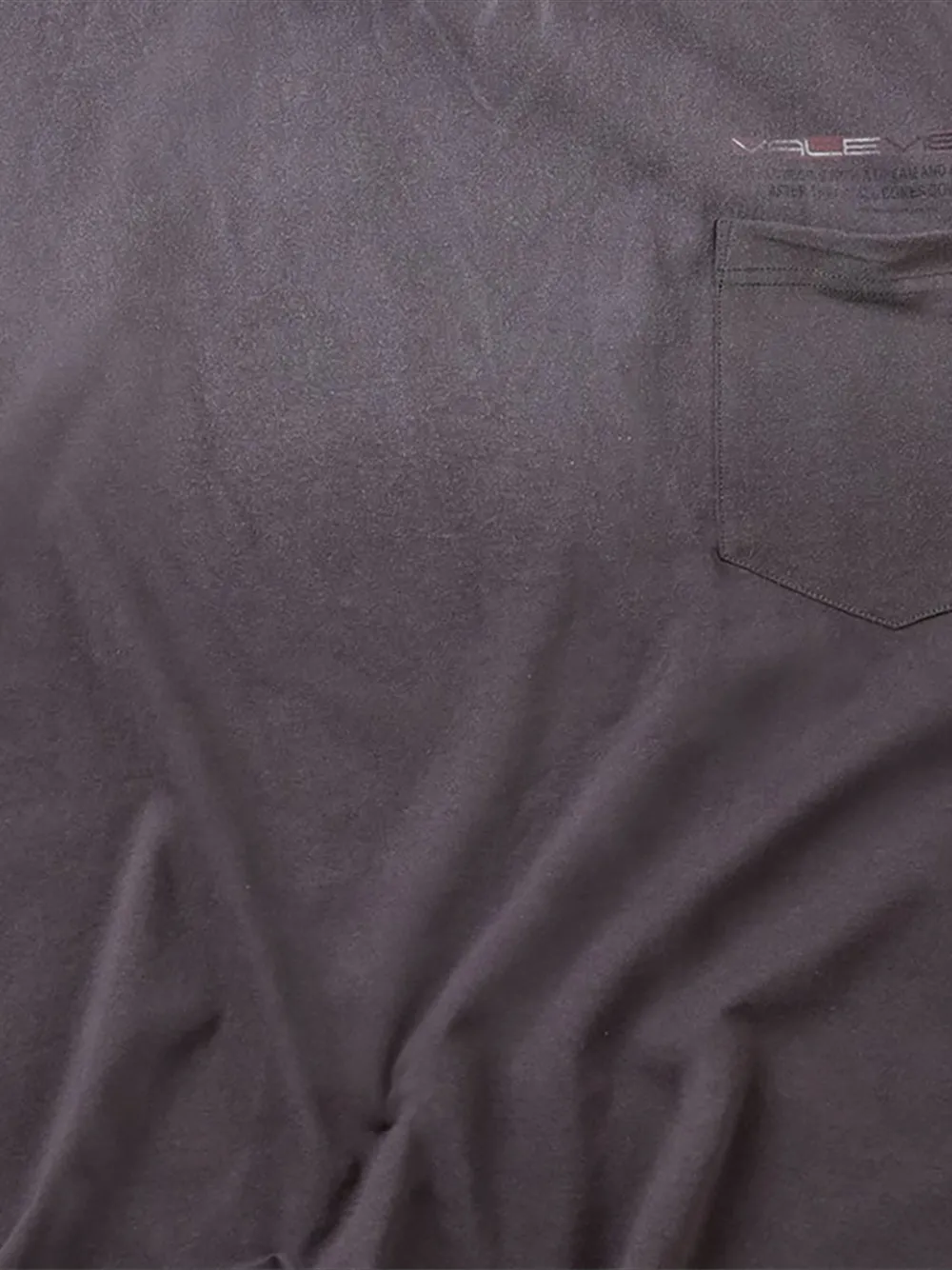 Vale Vision T-shirt In Gray