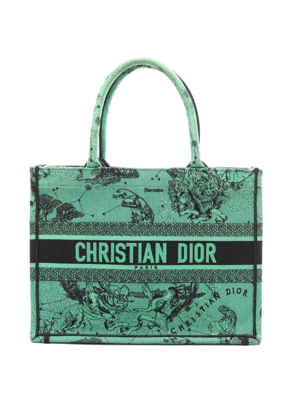 Pre-owned Dior 2000-2026 Medium Embroidered Canvas Book Tote Bag In Green