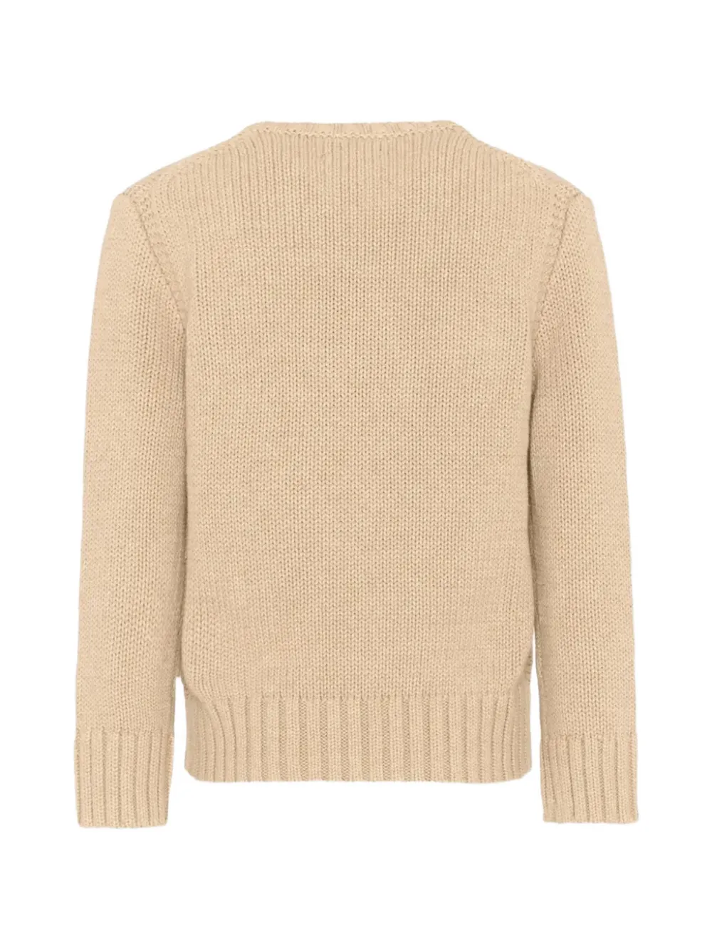 POLO RALPH LAUREN KIDS Iconic trui met contrasterende afwerking Beige