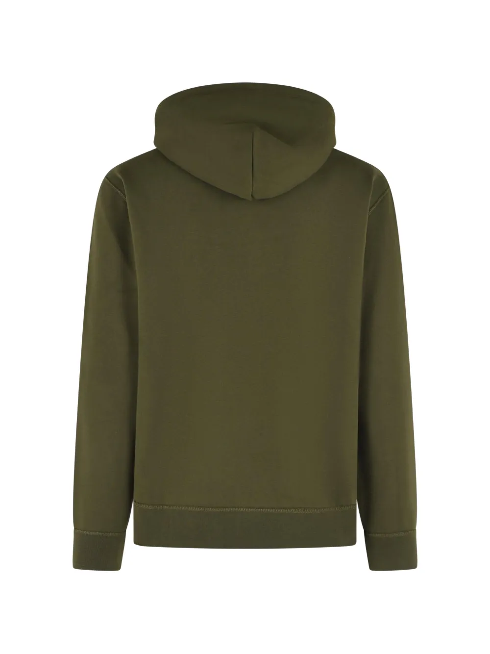 Polo Ralph Lauren Pony hoodie met geborduurd logo Groen