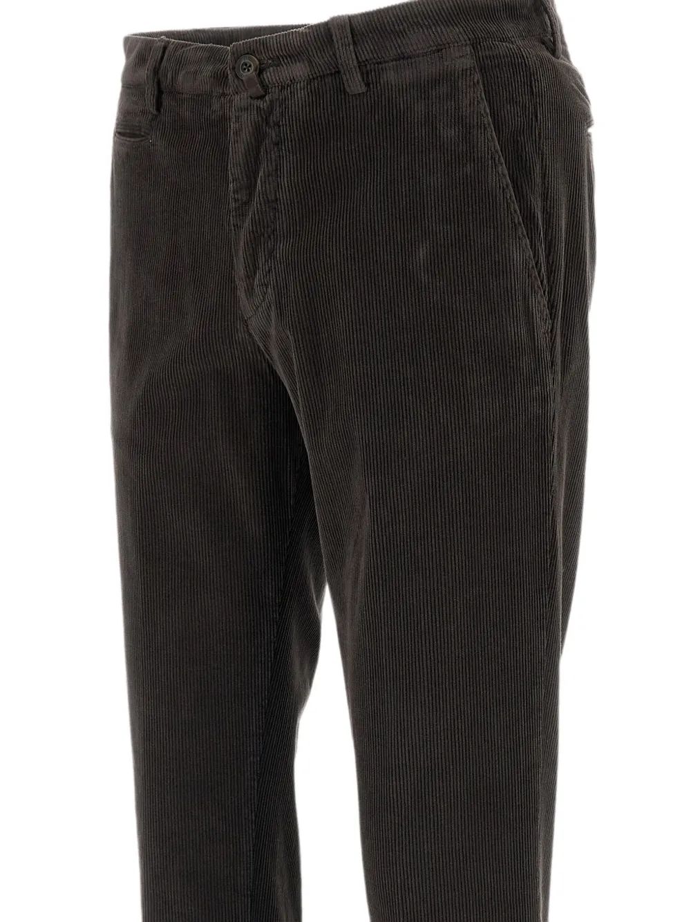 Briglia 1949 Ribfluwelen broek Bruin