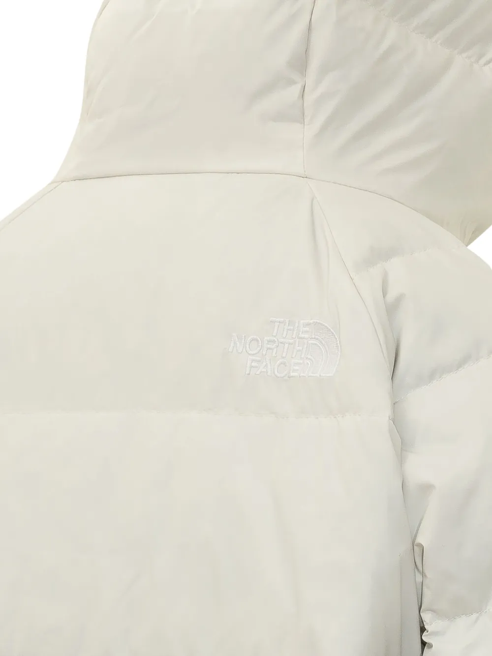 The North Face Hydernalite donsjack met capuchon Blauw