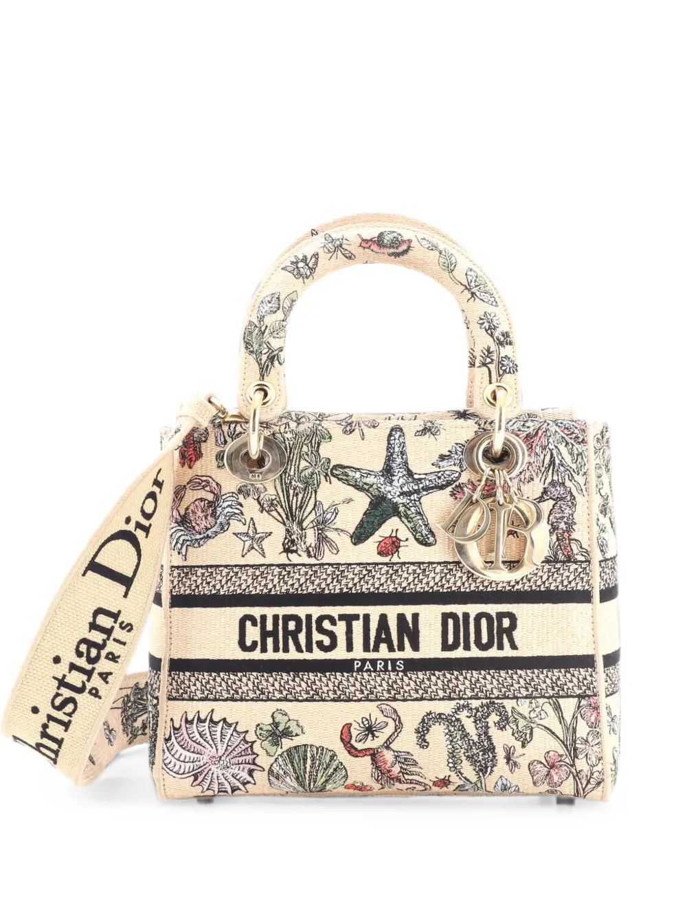 Pre-owned Dior Lady D-lite Bag Embroidered Raffia Medium Satchel In Neutrals