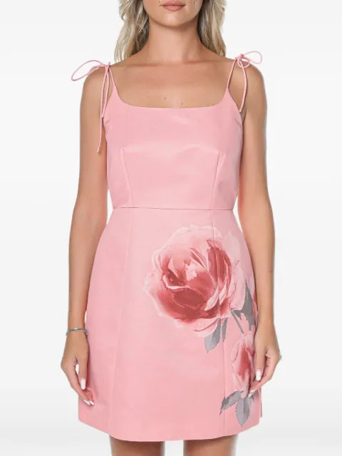 Ted Baker Rasbee floral-print mini dress