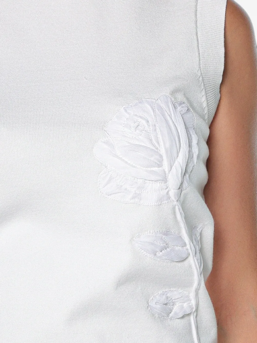Ted Baker Nyeli organza top met applicatie Beige