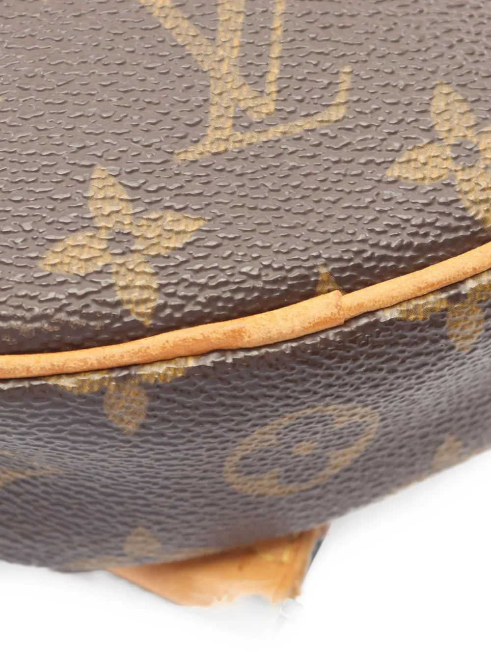 Louis Vuitton Pre-Owned 2004 Monogram Pochette Ganju belt bag Bruin