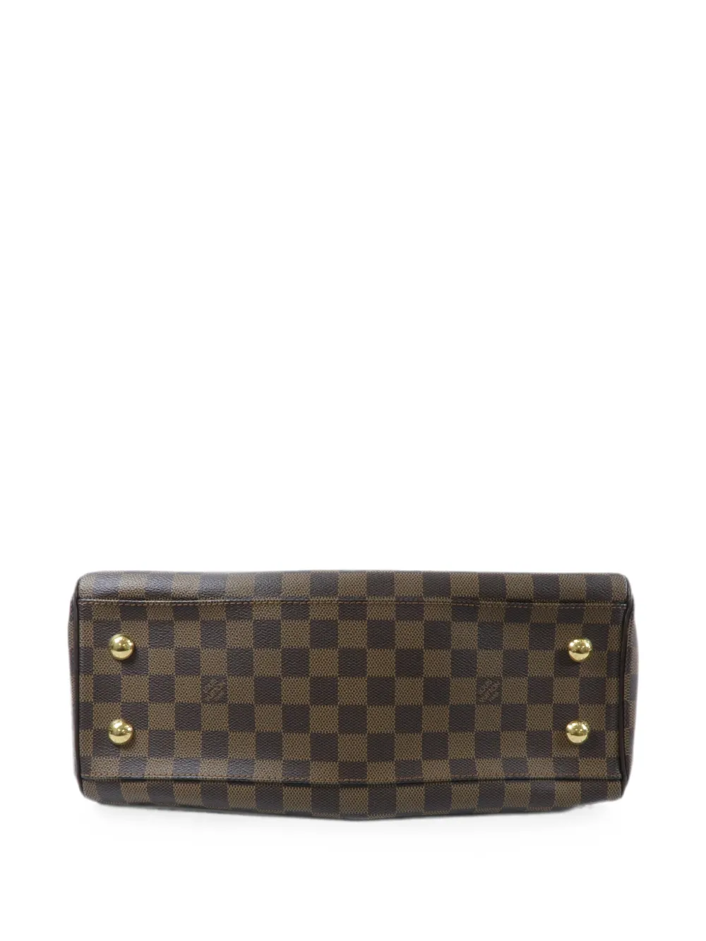Louis Vuitton Pre-Owned Damier Trevi shopper Bruin