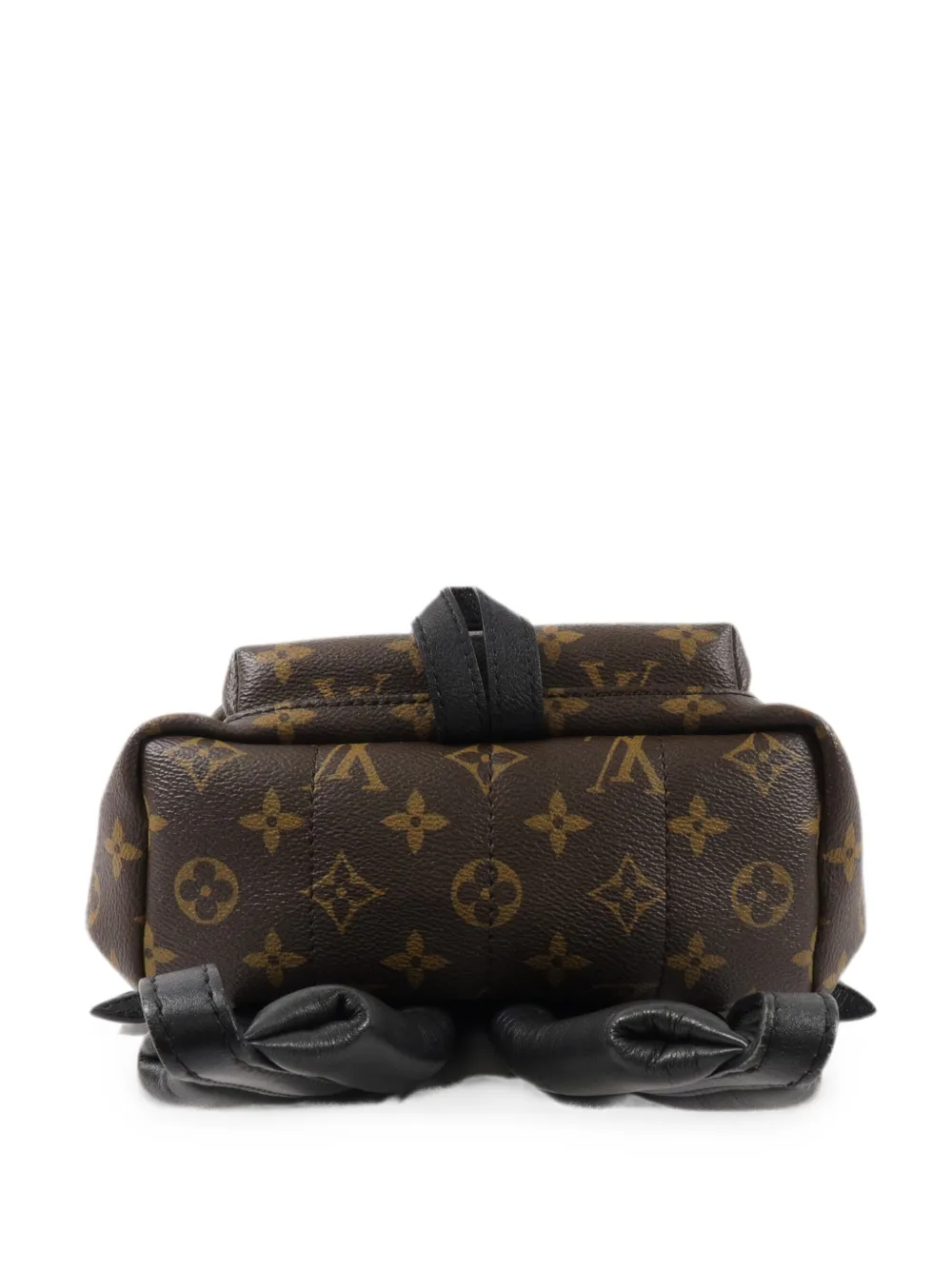 Louis Vuitton Pre-Owned PM Palm Springs Monogram-pattern backpack - Brown