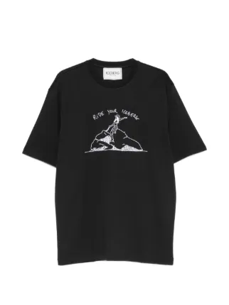 Iceberg