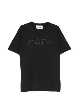 Iceberg