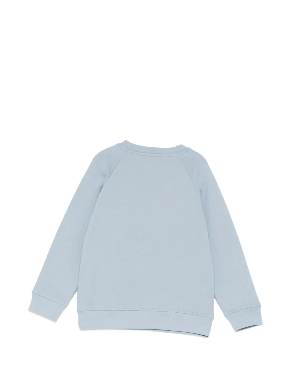 Stella McCartney Kids Sweater met grafische print en raglan mouwen Blauw