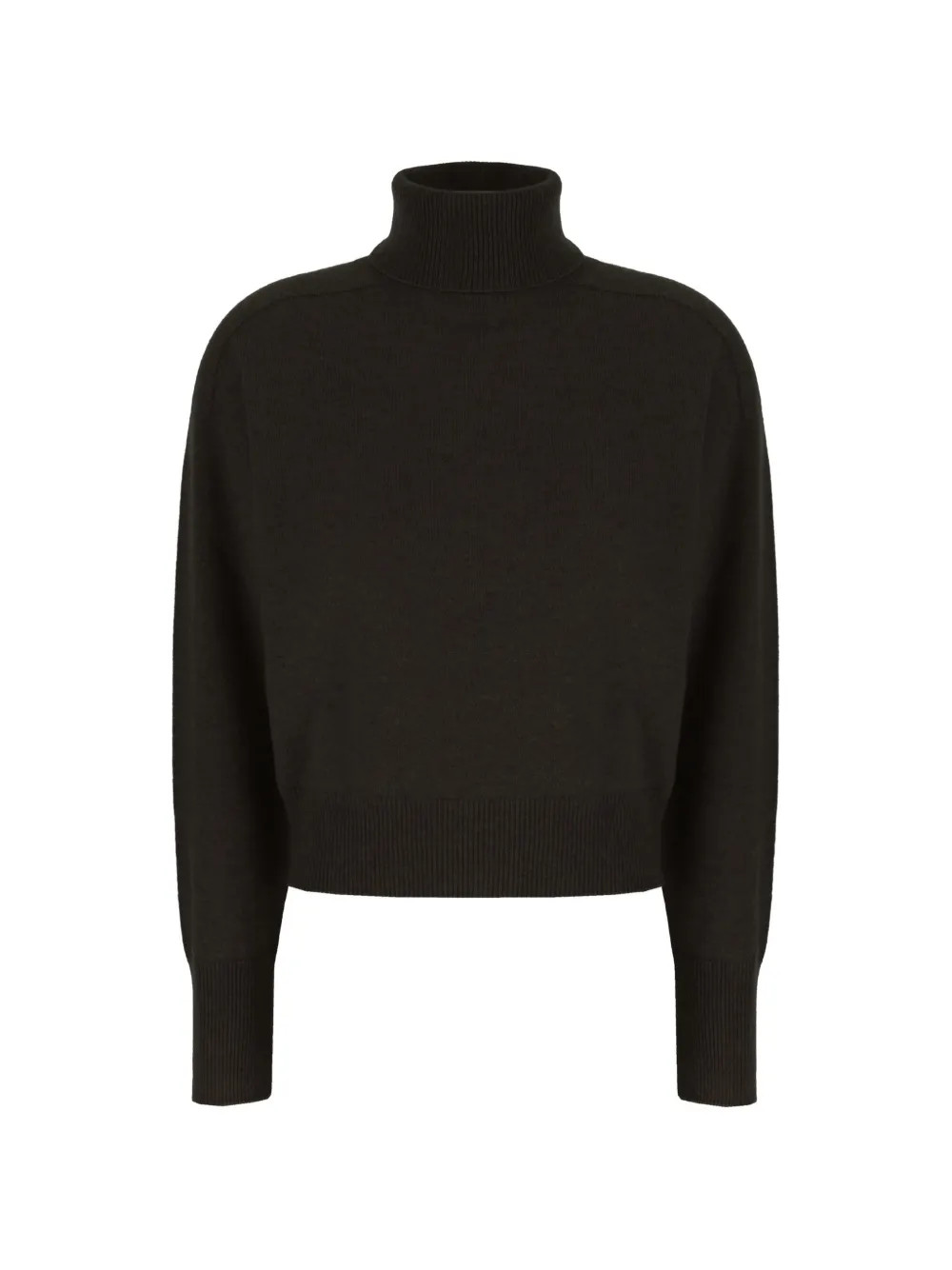 Vanisé Roll-neck Cashmere Sweater In Brown