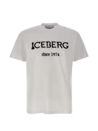 Iceberg