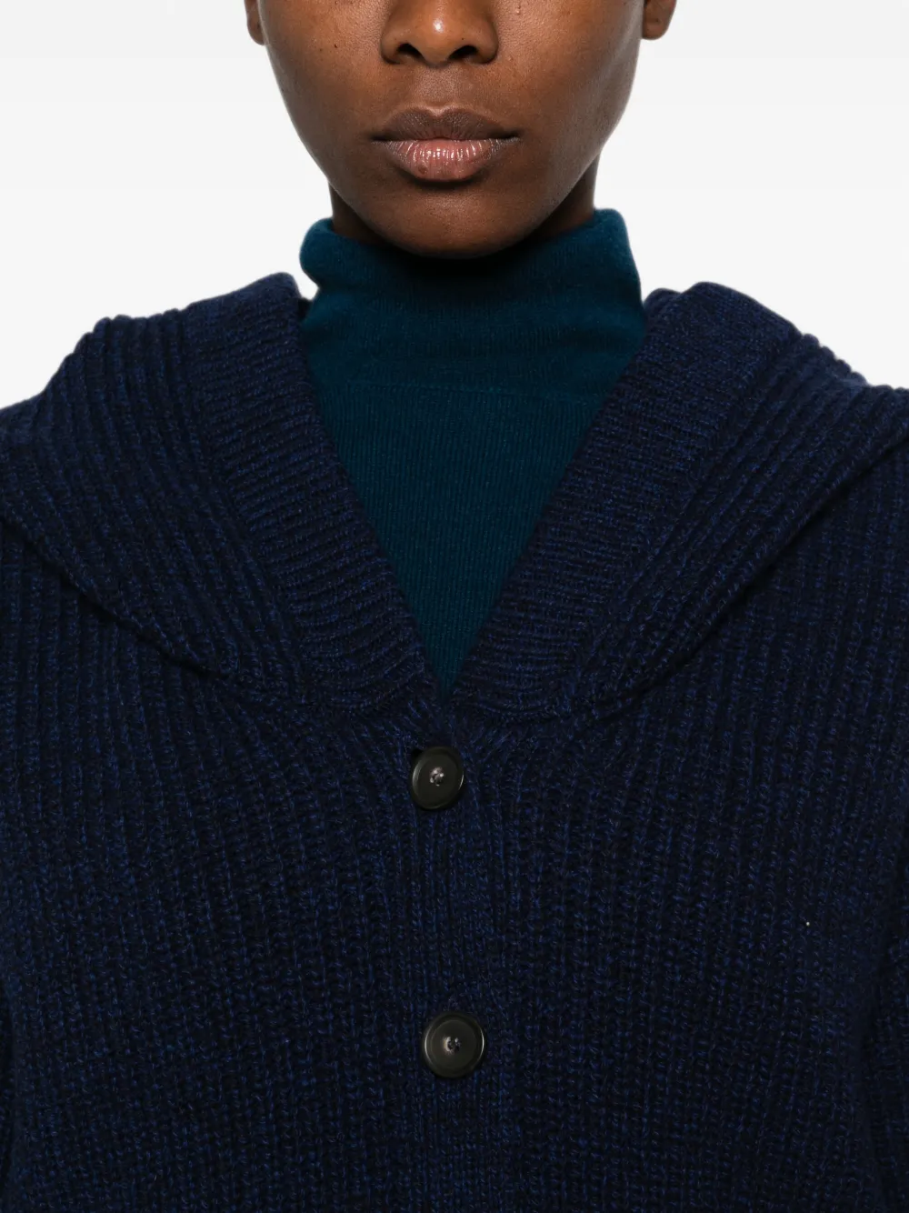 Erika Cavallini Donato ribgebreid vest met capuchon Blauw