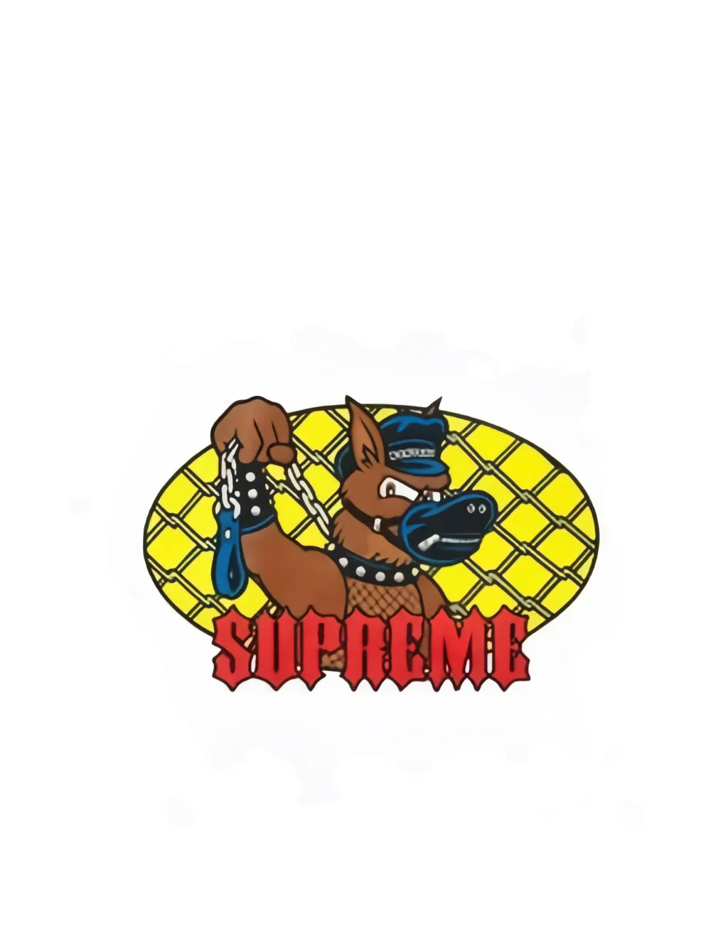 Supreme T-shirt met grafische print Wit
