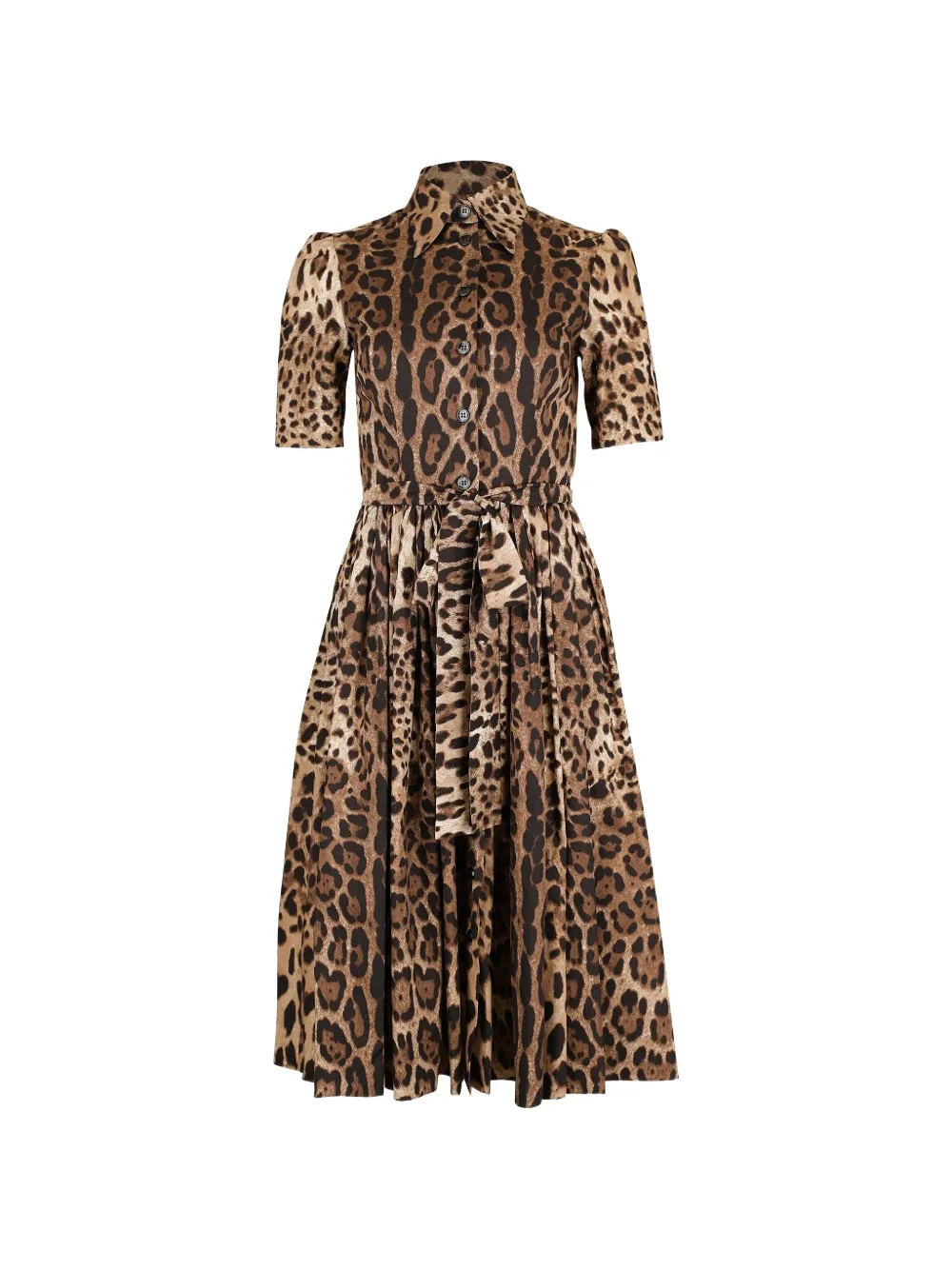 Dolce & Gabbana leo-print poplin shirt dress