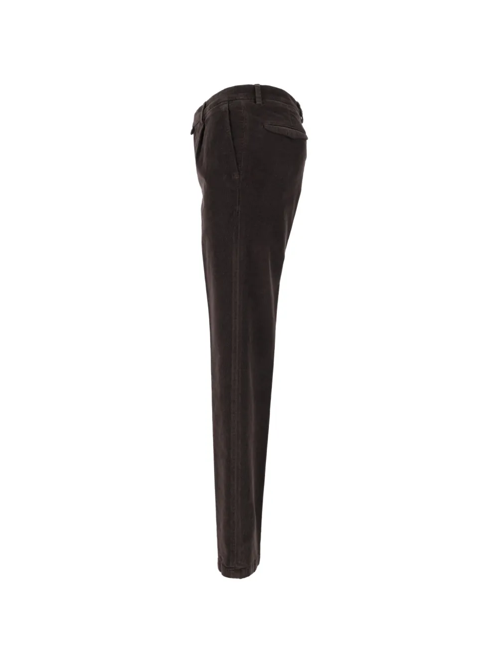Briglia 1949 Ribfluwelen chino met plooien Bruin