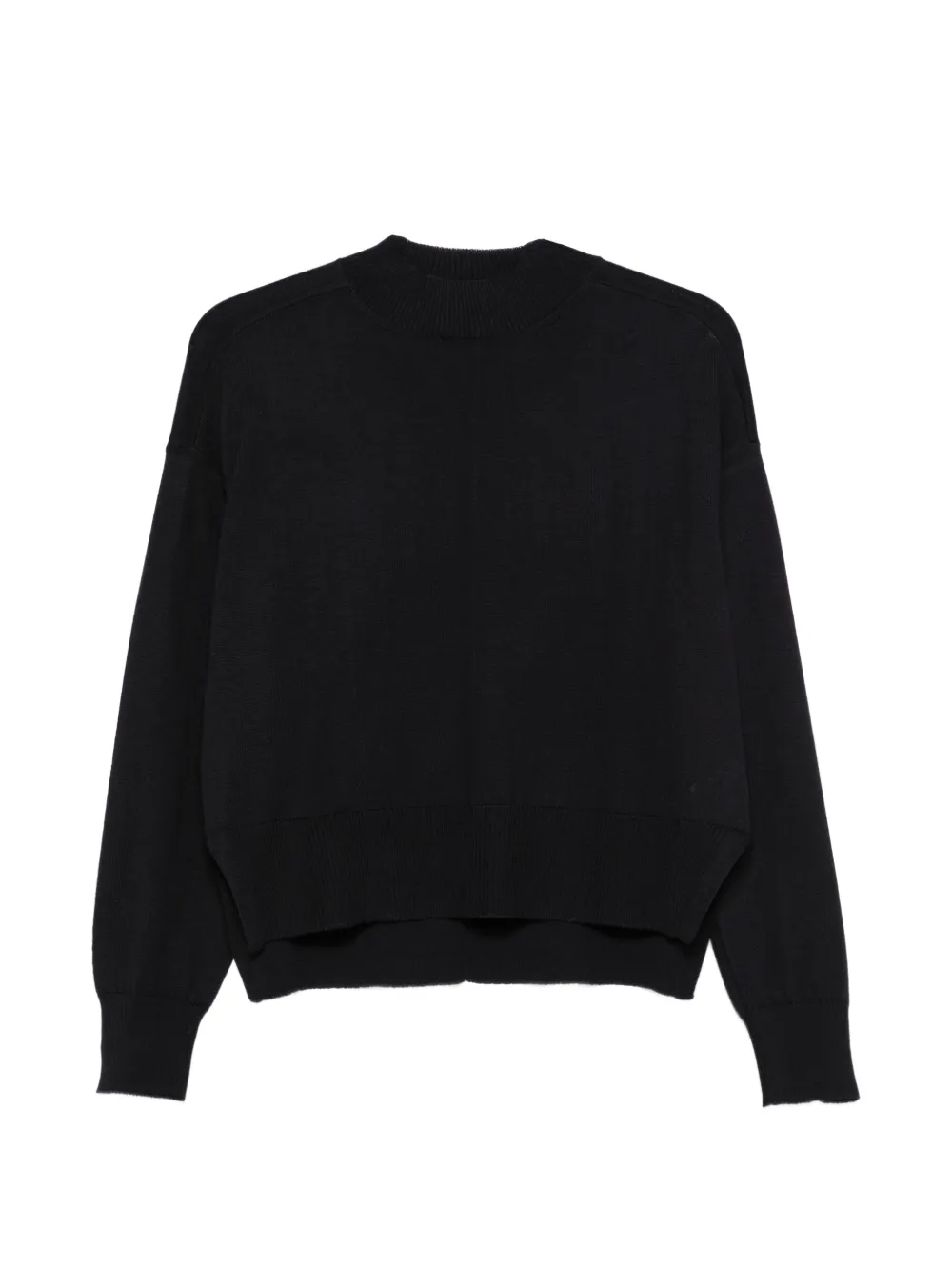 Daniele Fiesoli crew-neck merino sweater