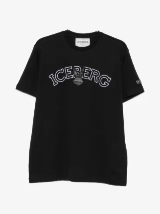 Iceberg