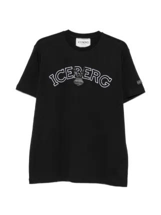 Iceberg