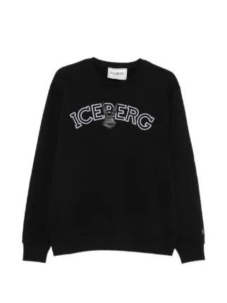 Iceberg
