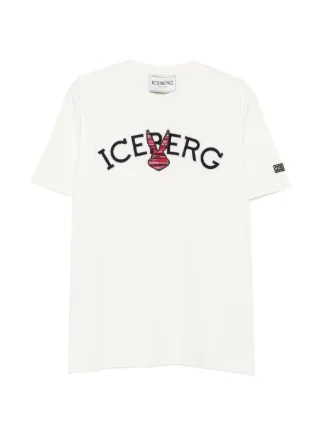Iceberg