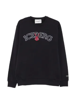 Iceberg