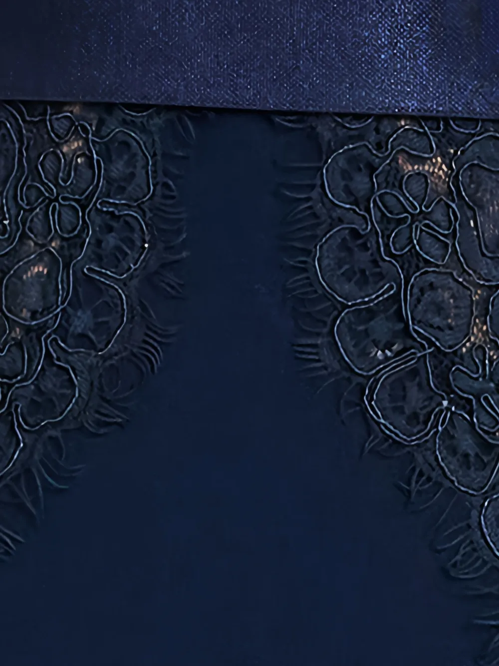 Tadashi Shoji Corwin maxi-jurk met kanten vlakken en ceintuur Blauw
