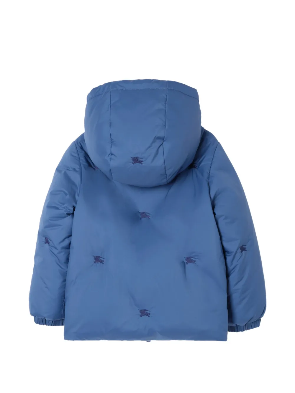 Burberry Kids Jack met capuchon Blauw