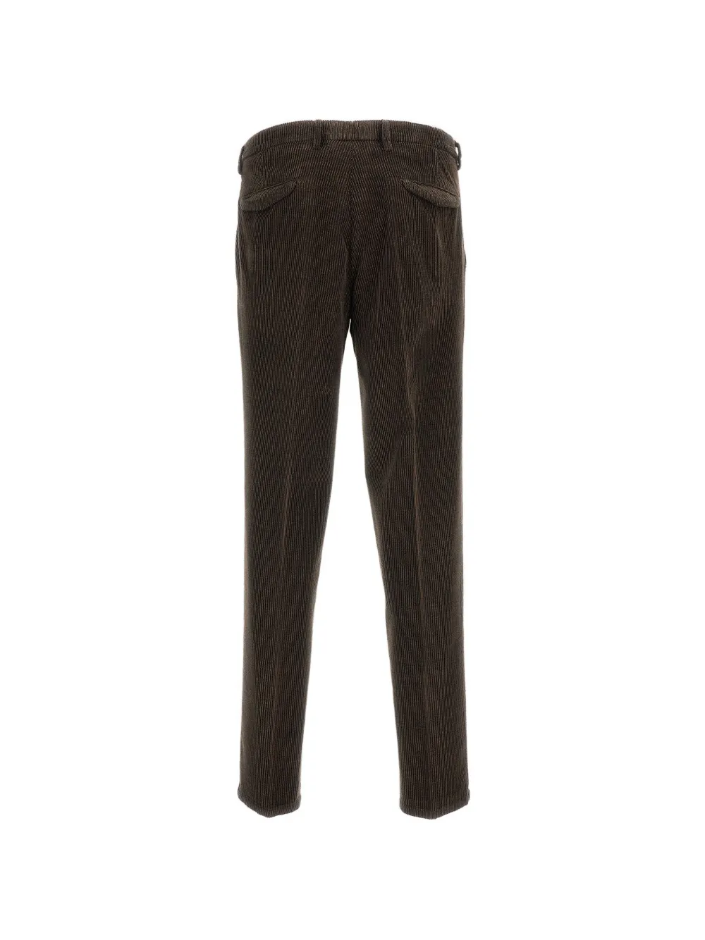 Briglia 1949 Ribfluwelen plooibroek Bruin