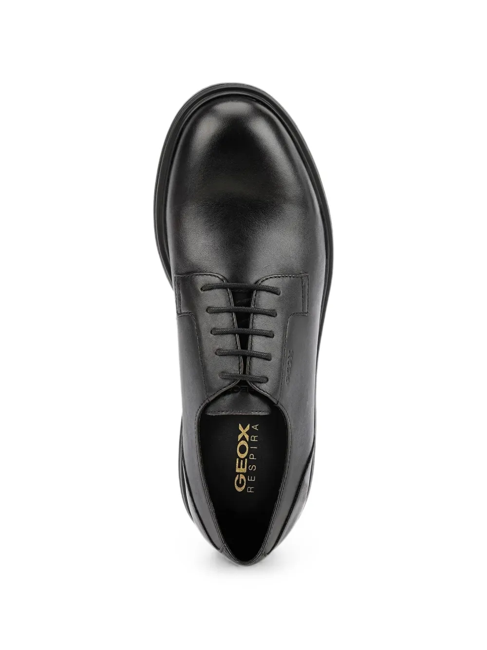 Geox Derby veterschoenen Zwart