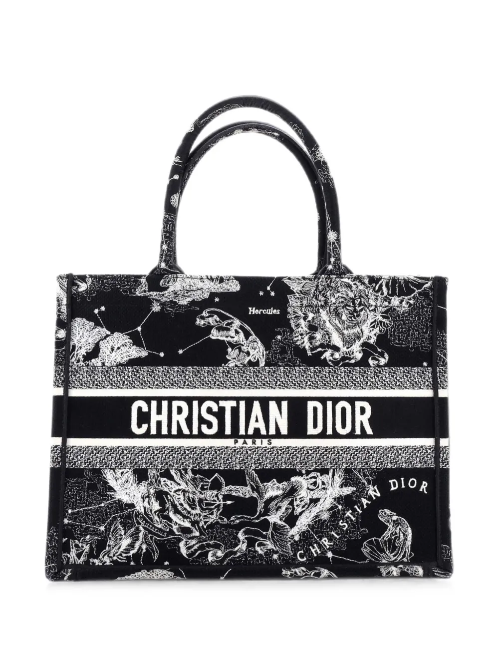 Christian Dior Pre-Owned Book Embroidered Canvas Medium tote bag - Schwarz