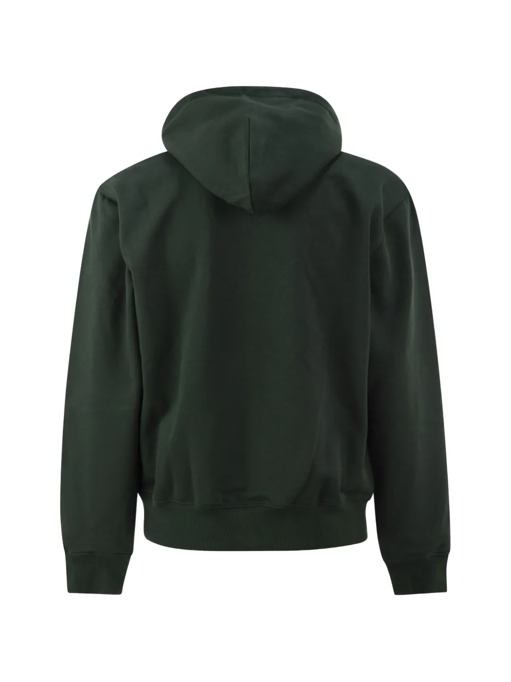 Carhartt WIP Carhartt sweater met capuchon Groen