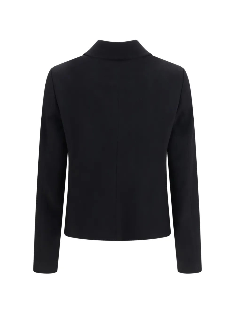 Lardini Button-up Pointed-collar Jacket In Black