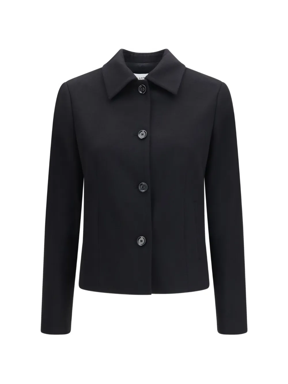 Lardini Button-up Pointed-collar Jacket In Black