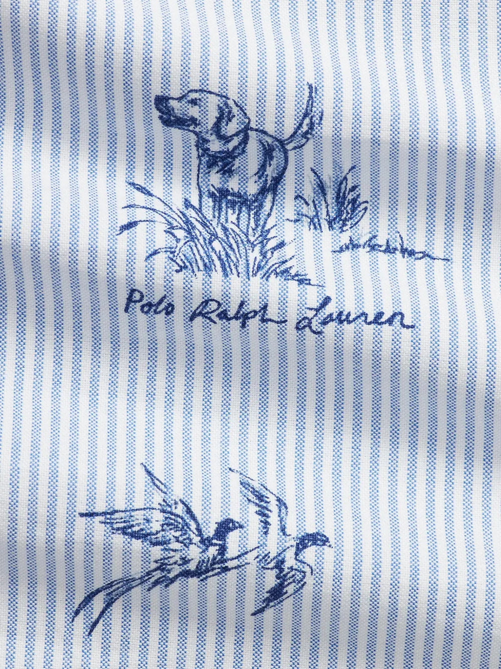 Polo Ralph Lauren Oxford overhemd met hond-en-fazant Wit