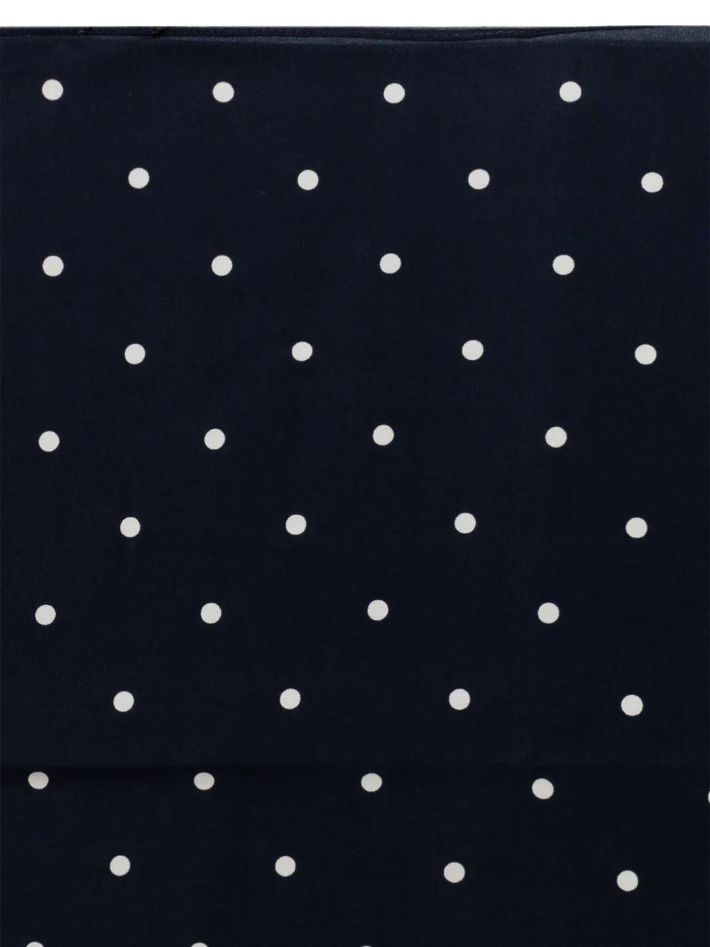 Dolce & Gabbana Sjaal met stippen Blauw