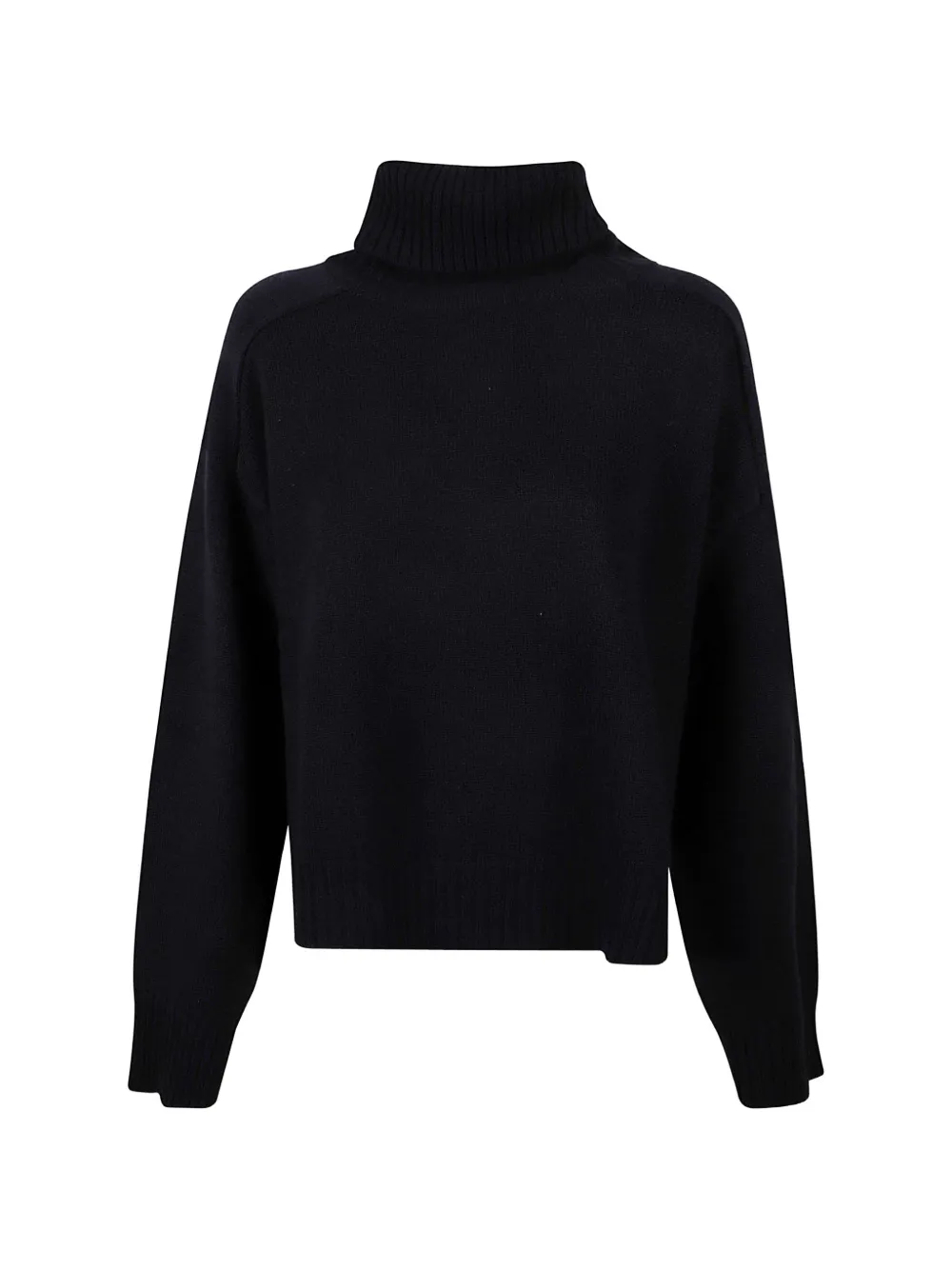 Beyou Roll-neck Knitted Sweater In Black