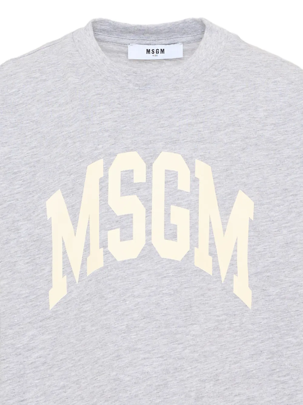 MSGM Kids T-shirt met lange mouwen en logo-print Grijs