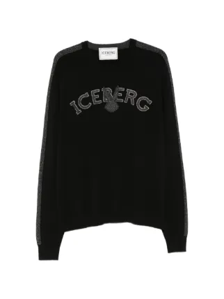 Iceberg