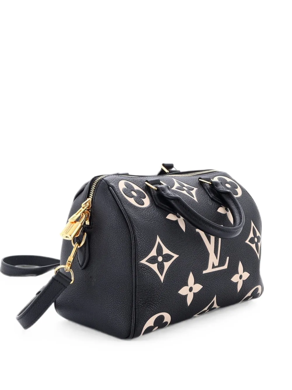 Louis Vuitton Pre-Owned Speedy Bandouliere Bag Bicolor Monogram Empreinte Giant 25 handbag - Schwarz