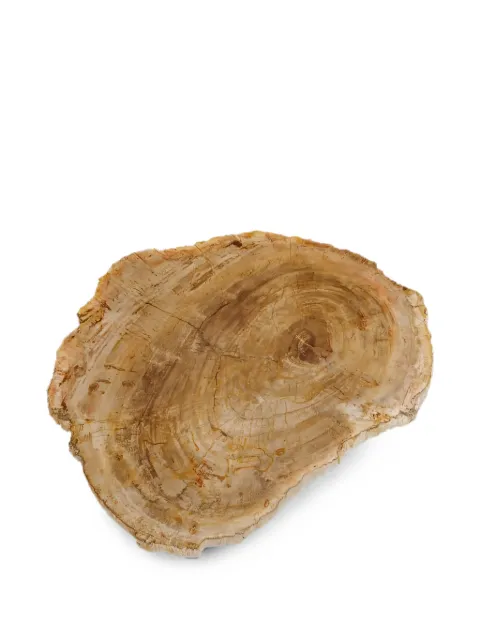 CU I SEEYOU petrified wood platter