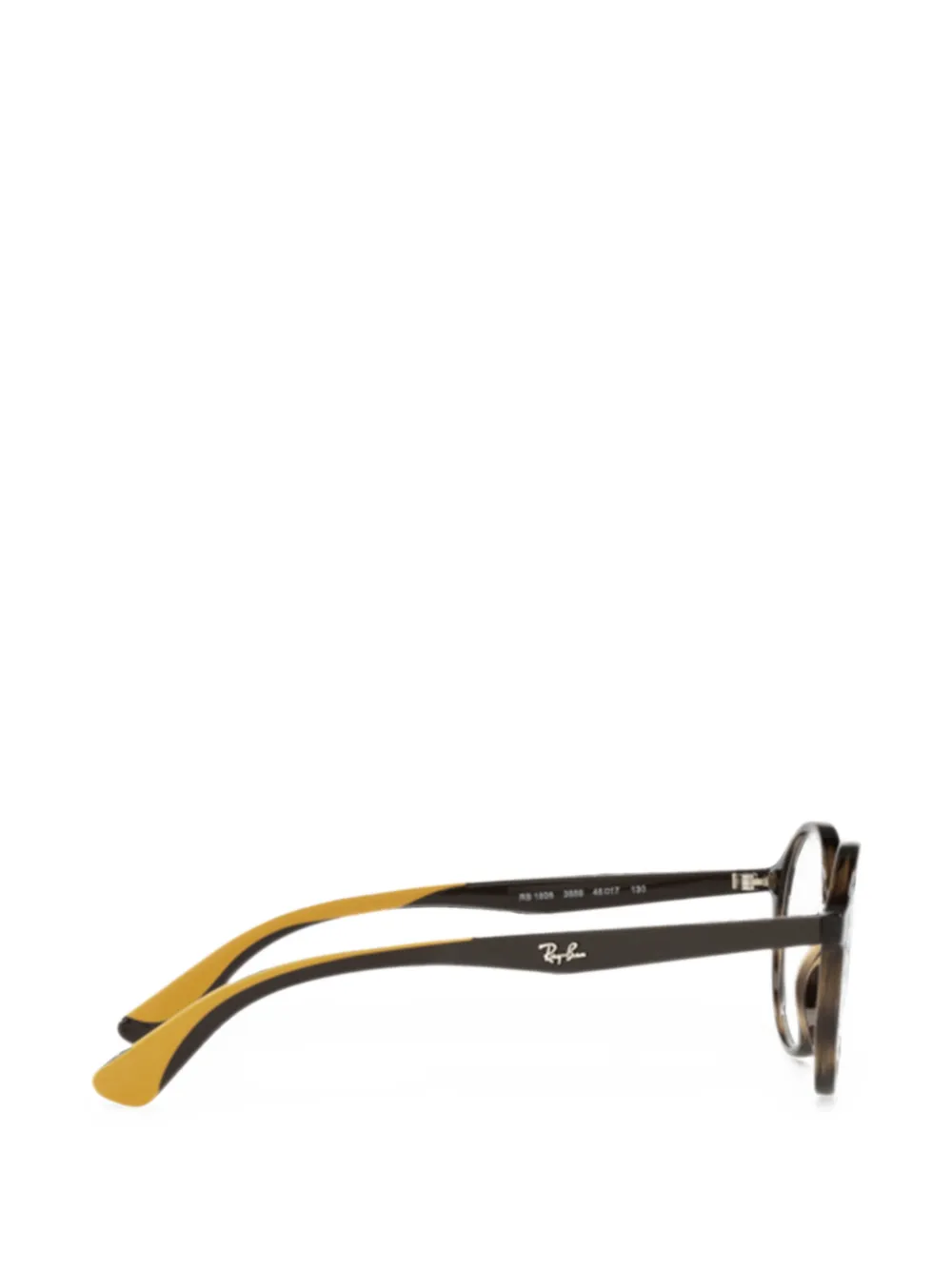 RAY-BAN JUNIOR Bril met rond montuur Bruin