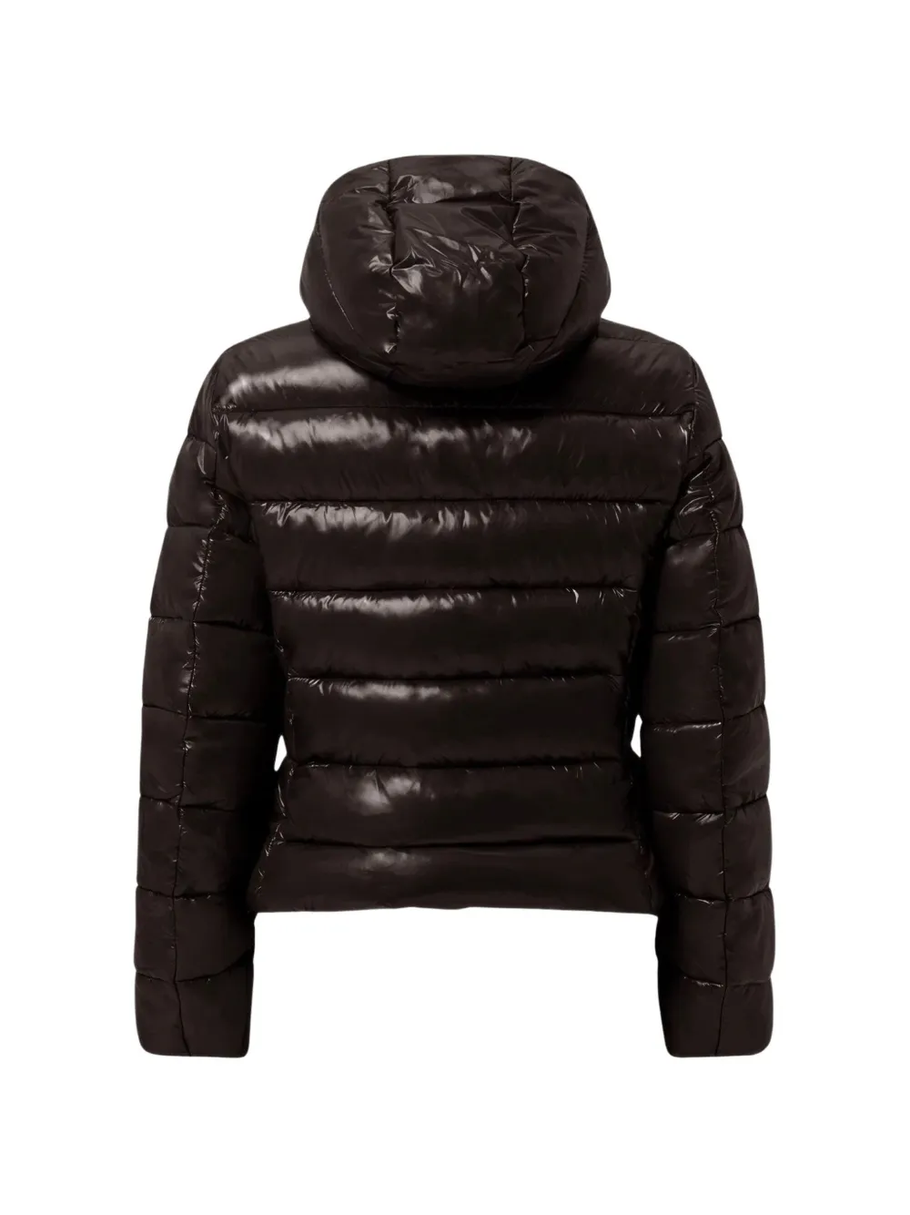 Save The Duck Jacket mod gewatteerd jack met capuchon Bruin