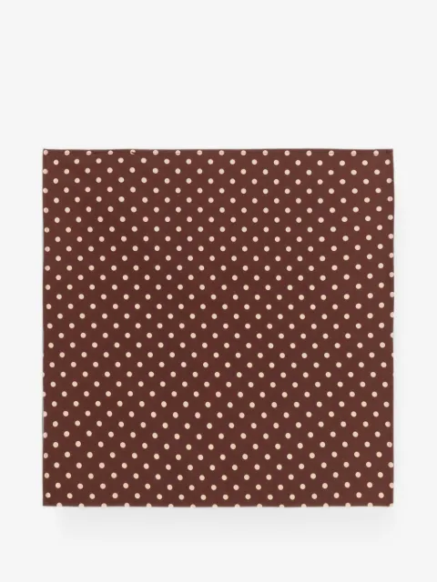 Weili Zheng polka-dot scarf