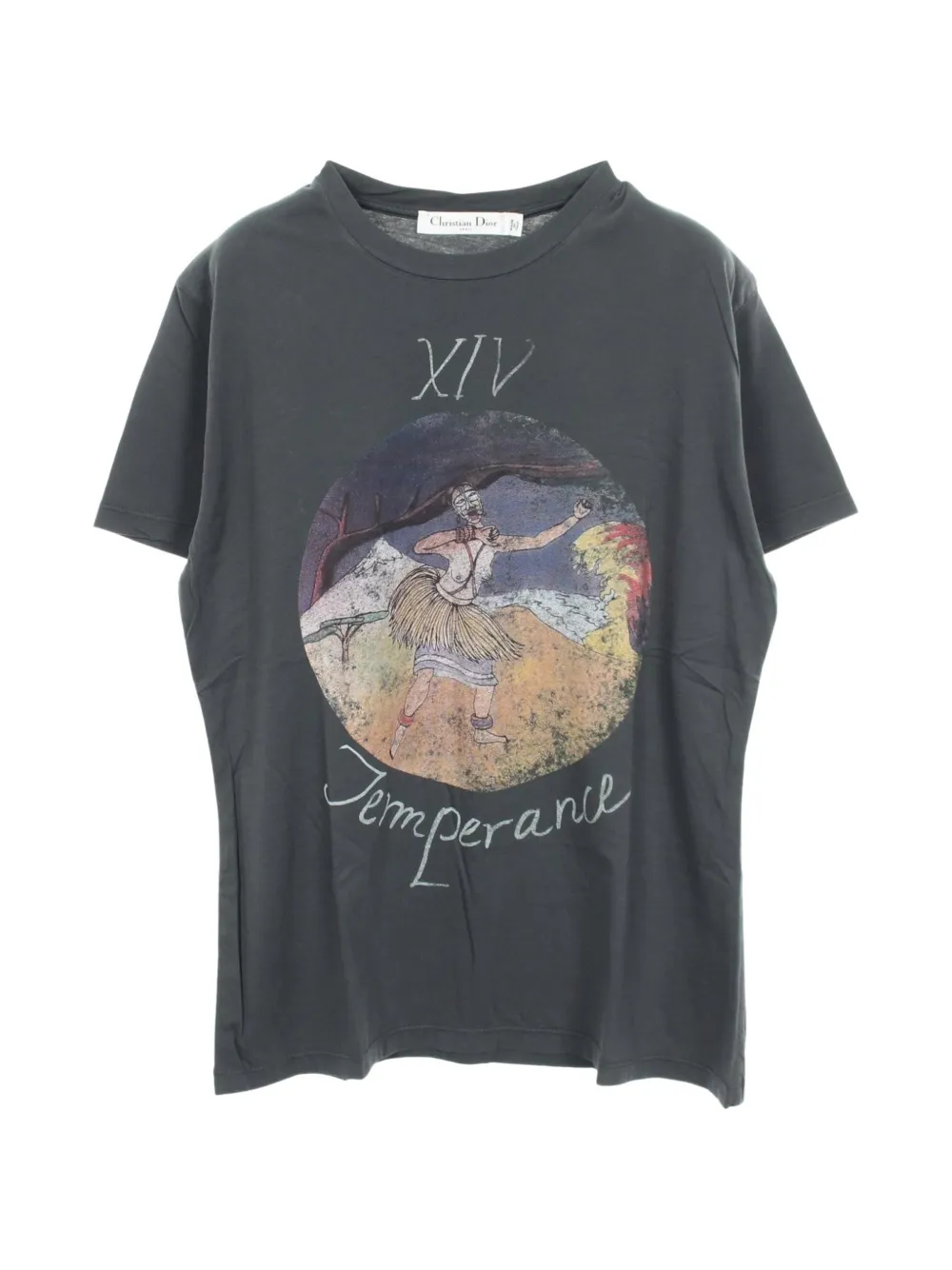 Christian Dior Pre-Owned 2010s motherpeace-print T-shirt - Grau
