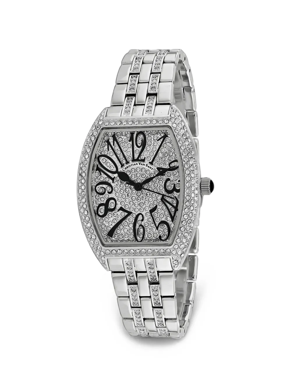 CHRISTIAN VAN SANT Elegant Sparkle 46mm watch - Argento