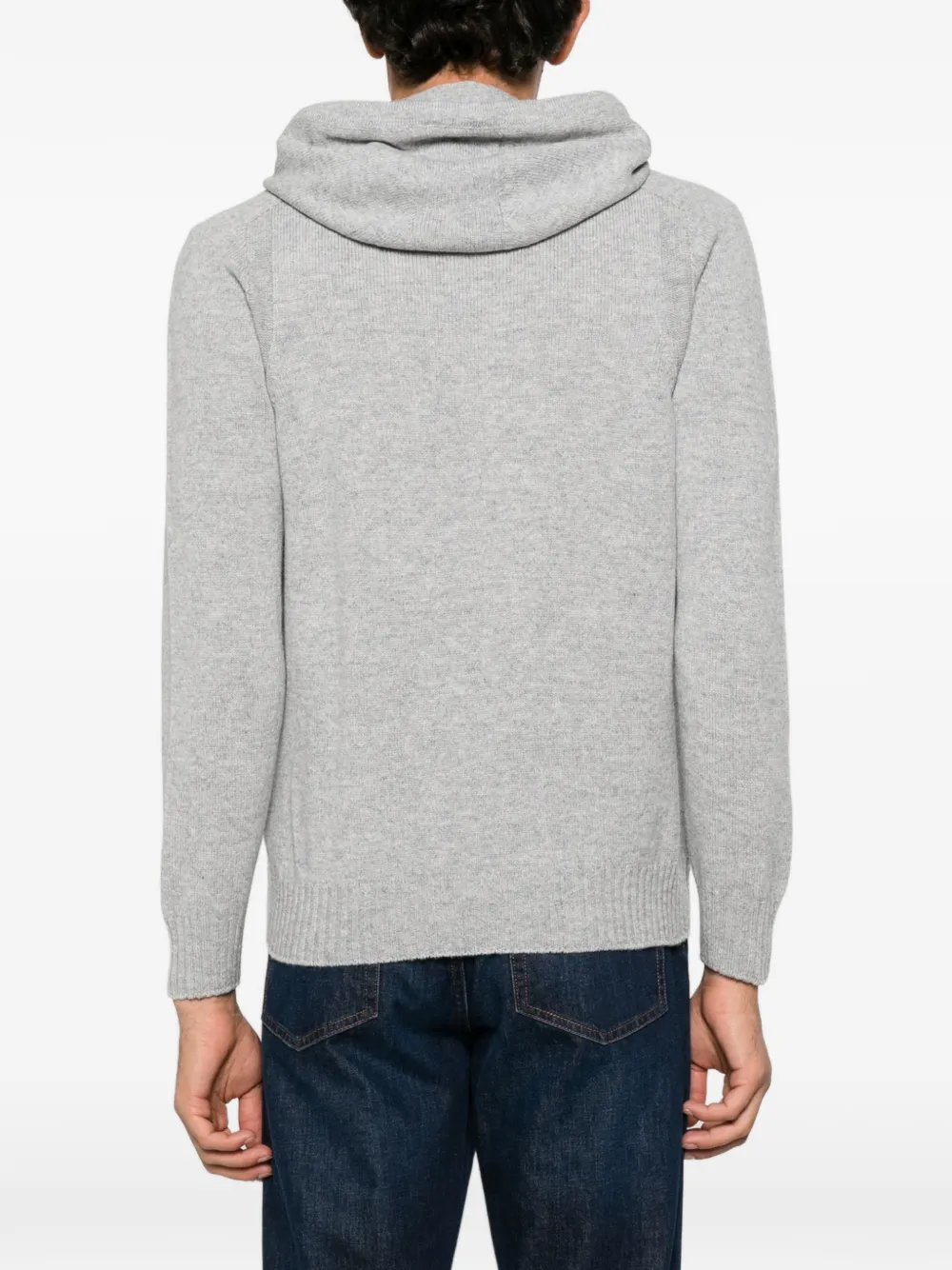 Barba zip-up hoodie Grijs