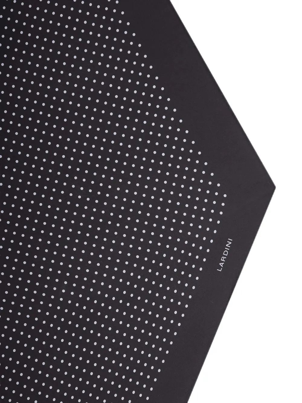Lardini Sjaal met stippen en diamant Zwart
